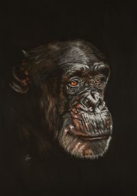 Portrait of a Primate.